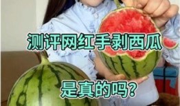 网红的瓜真实爆料最新,最新爆料揭露惊人内幕