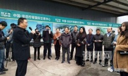 资阳记者爆料事件最新,揭开事件背后惊人真相