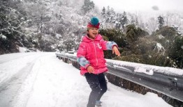 爆料下雪了视频大全播放,下雪了视频大全火爆播放，捕捉雪景之美